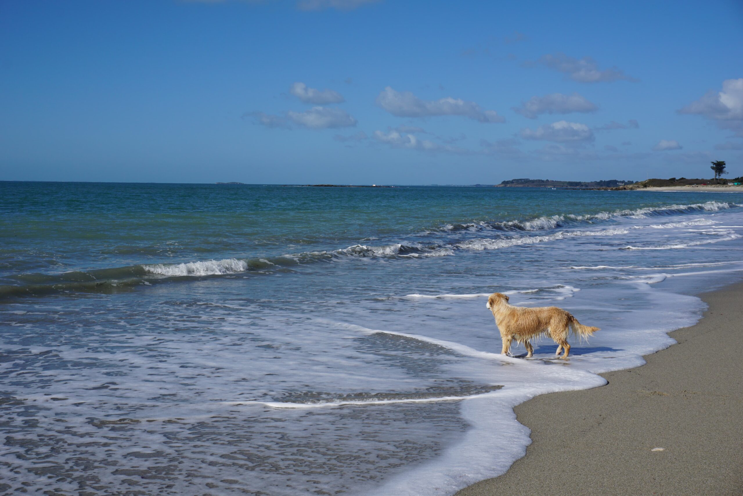 découverte chasseur de lieu plage de Saint Gildas de Rhuys